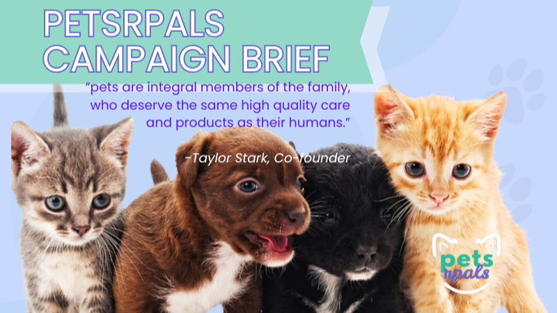 4 baby animals - 1 kitten to the left, a brown chocolate lab to his right, and a border collie puppy to the right o fthe chocolate lab. To the right of the puppies is an orange tabby cat. The animals are all leaning on each other, cuddling and they are about 8 weeks old. The graphic reads "PetsRPals Campaign Brief" "pets are integral members of the famil who deserve the same quality care and products as their humans -Taylor Stark (co-founder). PetsRPals IBM Digital Marketing & Growth Hacking with Gen AI Professional Certification PRogram